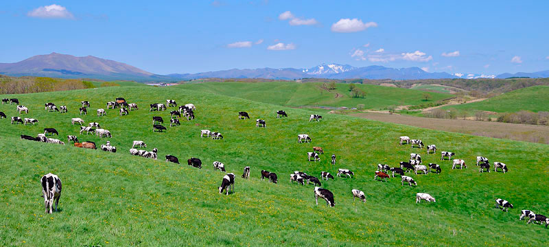 ���n�X�V�ƕ��q